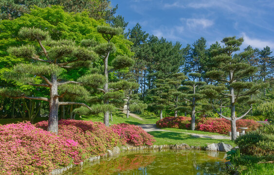 der Japanischen Garten im Nordpark,Düsseldorf,Deutschland