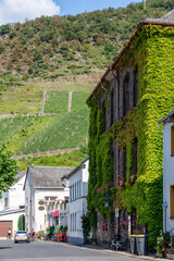 Street Scene in German Village 