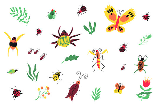 Set of hand drawn insects and plants.Summer set of pictures for print.Beetles, fly, butterflys, mantis, ants, spiders, ladybug, blades of grass, flower.Vector illustration isolated on white background