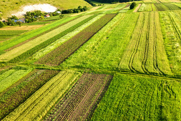 Aerial view of green agricultural fields in spring with fresh vegetation after seeding season on a warm sunny day.