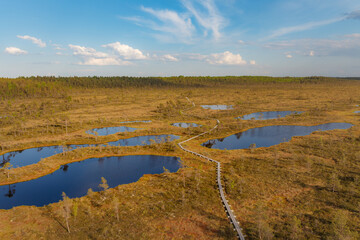 A view on the hiking trail at the Mukri bog, Estonia
