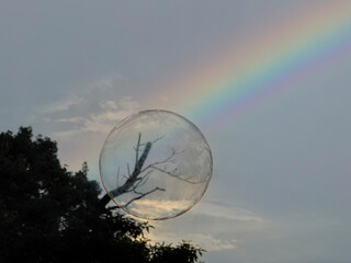 Soap bubble encapsulates a tree branch on a cloudy sky with a rainbow