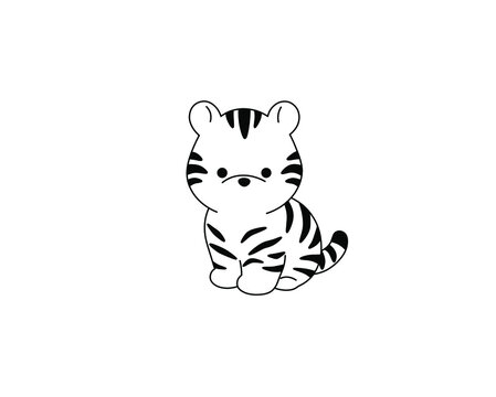 How To Draw Baby Tiger  Draw A Baby Tiger HD Png Download  Transparent  Png Image  PNGitem