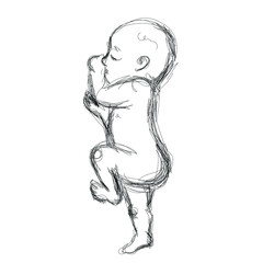 A Newborn, a baby, an infant. Vector line drawing, abtract illustration, line art. Black and white sketch. Ink poster. Minimalistic.