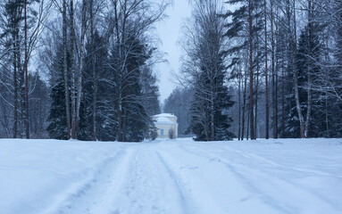 Fototapeta na wymiar Snowfall in Pavlovsky park in St. Petersburg