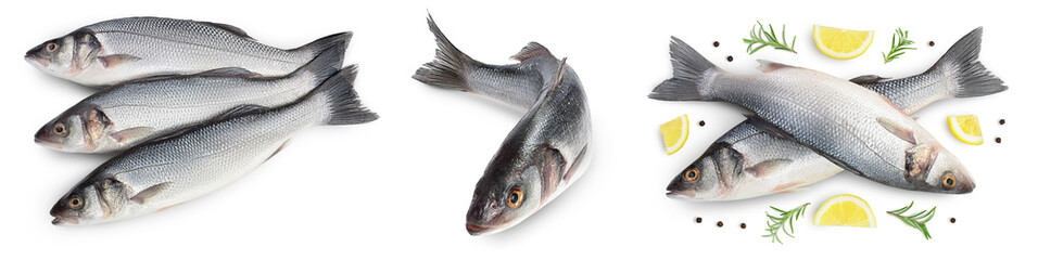 Sea bass fich isolated on white background. Top view. Flat lay. Set or collection