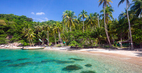 tropical beach with coconut palm tree