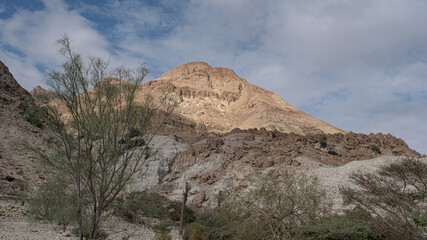 View of Mount Yishai, towering 190 m above Nahal David canyon entrance, Ein Gedi National Park and Nature Reserve, Dead Sea, Judean Desert, Israel