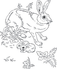 children's coloring book rabbit and cubs. Vector. Pencil drawing