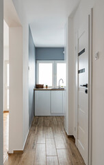 Corridor with white wall, door and wooden floorboards. Hallway in stylish interior of building. Architecture inside.