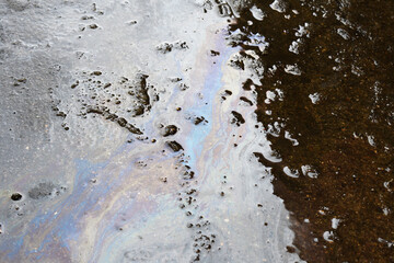Iridescent Puddle 