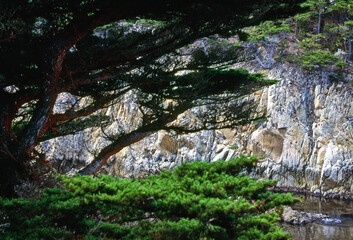 Point Lobos, California