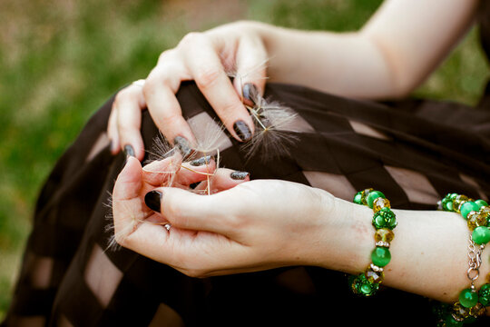 dandelion in the hands of a girl in summer. High quality photo