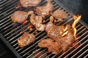 grilled meat on the grill
