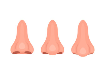 Types of noses, correction of nasal shape during rhinoplasty surgery. Snub-nosed, straight and downturned nose. Vector illustration