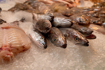 Peixes, frutos do mar no gelo para venda no mercado de peixe.