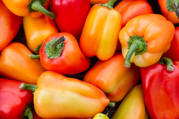 Bell peppers (Capsicum).