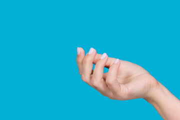 Closeup view stock photography of beautiful manicured outstretched empty female hand isolated on blue background 