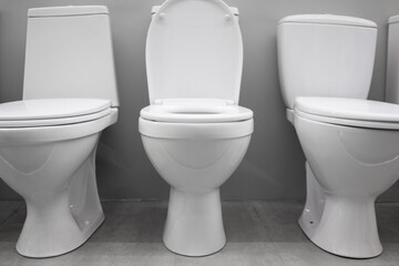 Set with toilet bowls  . front view