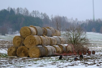 A stack of bales of hay and farm tools in a field in a slightly winter scenery on misty day.