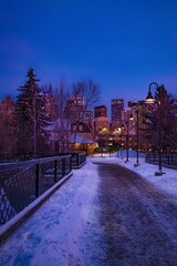 Obraz premium Snowy Pathway Through A City Park At Night