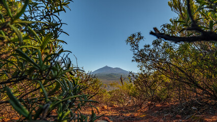 mount teide