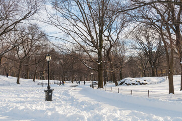 Fototapeta na wymiar Winter in Central Park, New York, United States.