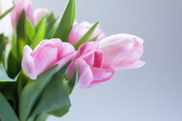 bouquet of tulips close up