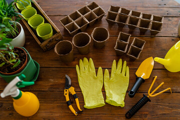 Gardening and gardening equipment laid out on the table