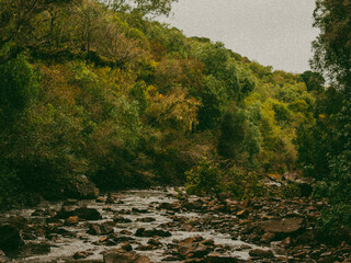 Analog look , digital photo