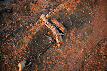 Desolated Two Blocks of Wood in Sunset