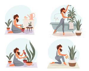 Houseplant care set. A beautiful girl transplants, sprays, washes and waters flowers. Vector illustration.