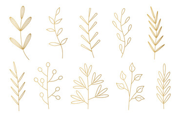 set of golden branches with leaves- vector illustration