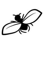 Nervige Fliege Design 