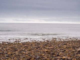 Fototapeta na wymiar Very stoney beach at Lindisfarne, Holy Island, Northumberland, UK