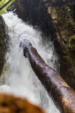 Sao Miguel waterfall with a fallen tree inside in the Azores