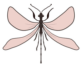 A painted dragonfly, on a white background. 