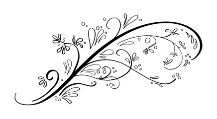 fancy design element, curly vine wedding invitation accent, calligraphy vector of floral curls and swirls in hand drawn underline or divider illustration © Arlenta Apostrophe