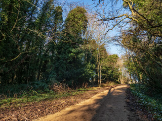 Fototapeta premium Rays Of Sunshine In The Park