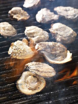 grilled_oysters.tif
