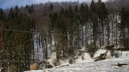 Eine Waldflur bei Floh-Seligental im Winter.