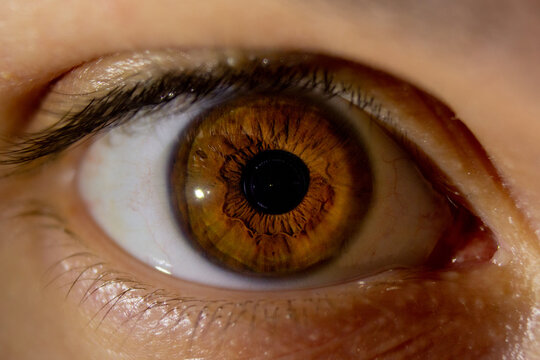 Occhio iride pupilla