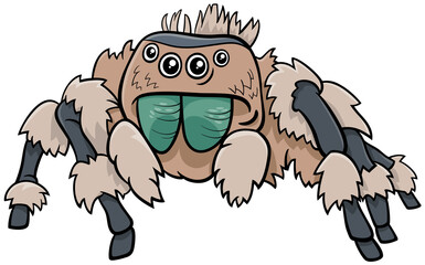 jumping spider insect character cartoon illustration