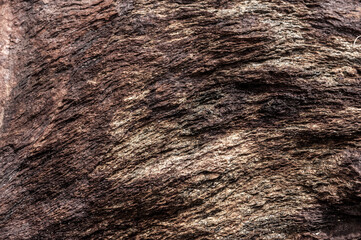 Felsformation an einer Felswand im Gebirge.