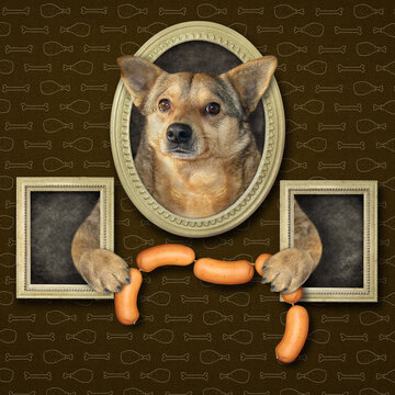 A Beige Dog With A Sausage Leans Out Of A Picture In An Art Gallery.