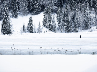   frozen Weissensee lake in Austria