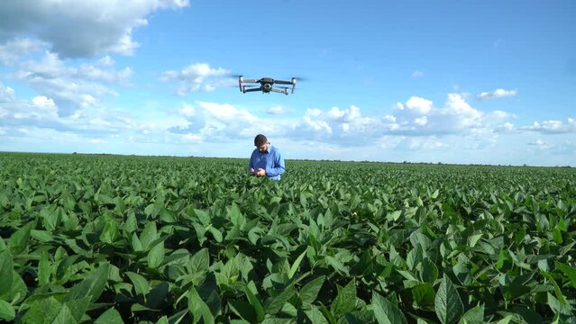 Precision Agriculture - Technical agronomist operating drone in high yield soybean crop with horizon and blue sky, agricultural technology, agribusiness - 2