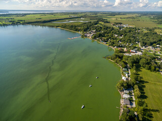 Algea Bloom