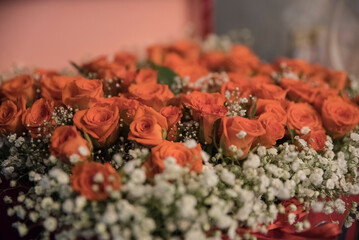 bukiet róż na dzień kobiet, walentynki - obrazy, fototapety, plakaty