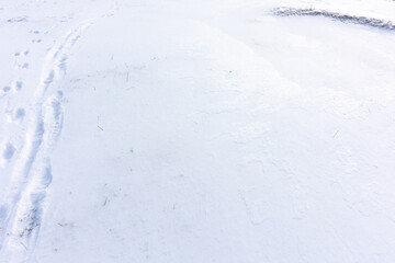 Footprints of a man and a dog on a snowy field